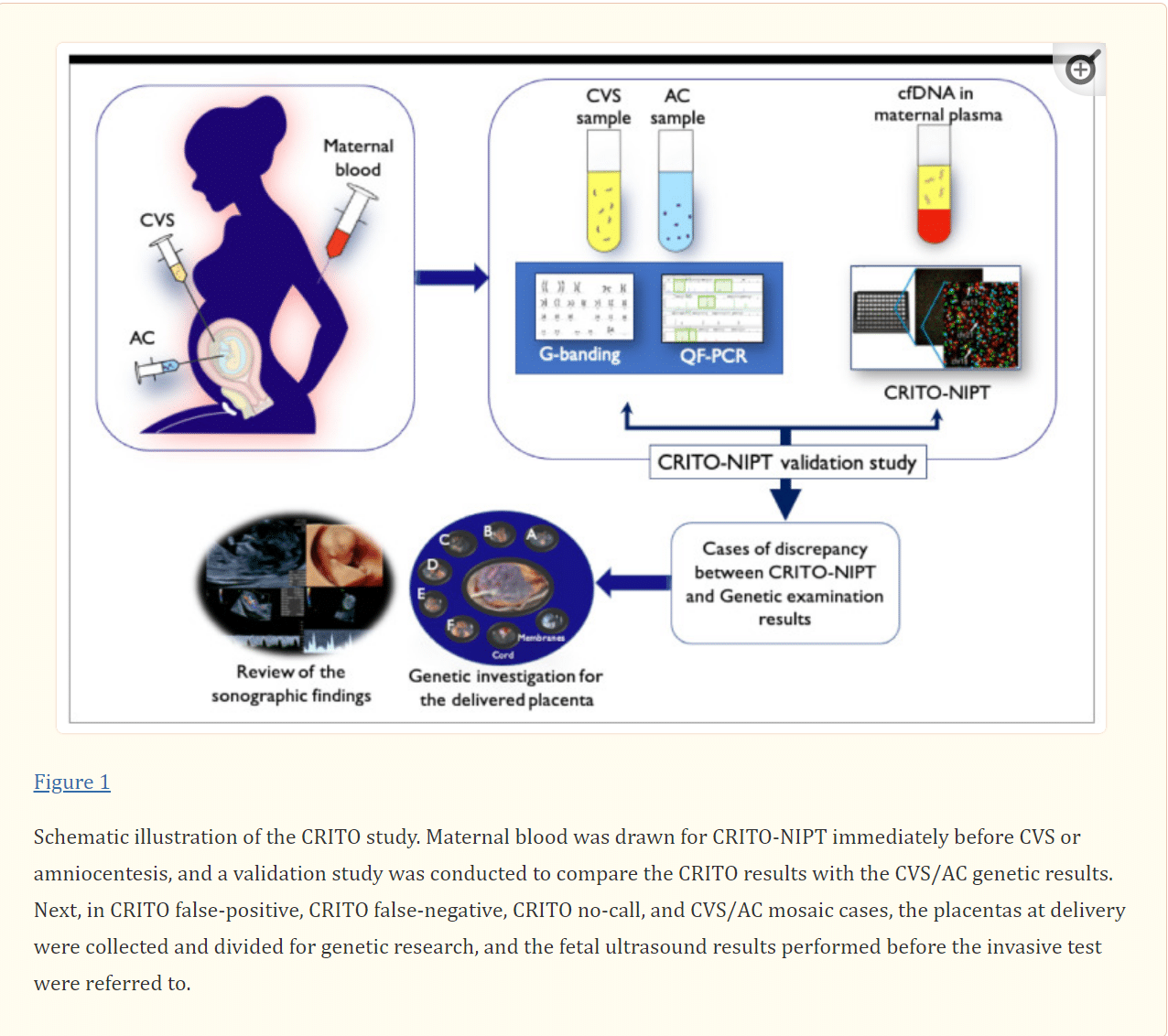 CRITO illustration study design